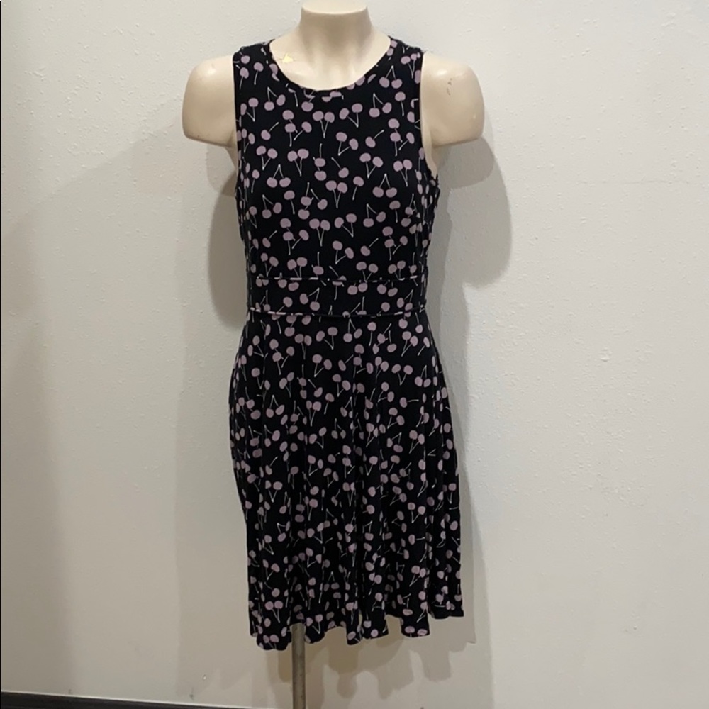 Ann Taylor Loft  Dress
